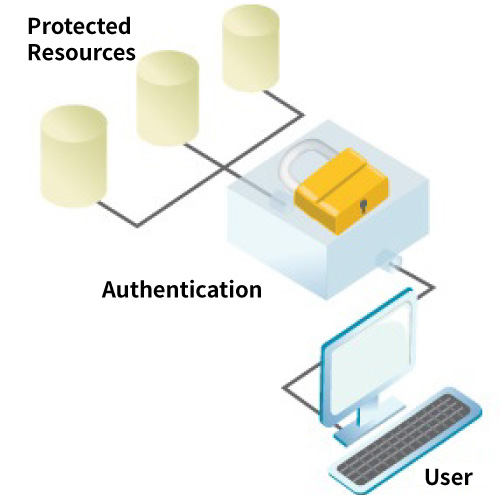 e-authentication