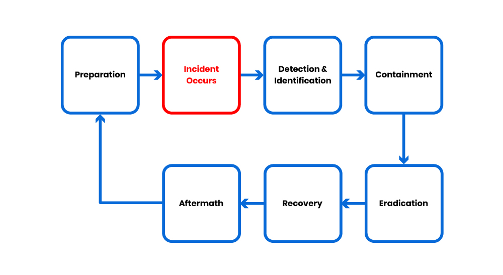 Six-step model