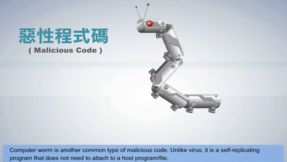 Computer Virus and Worm