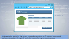 Web Application Security